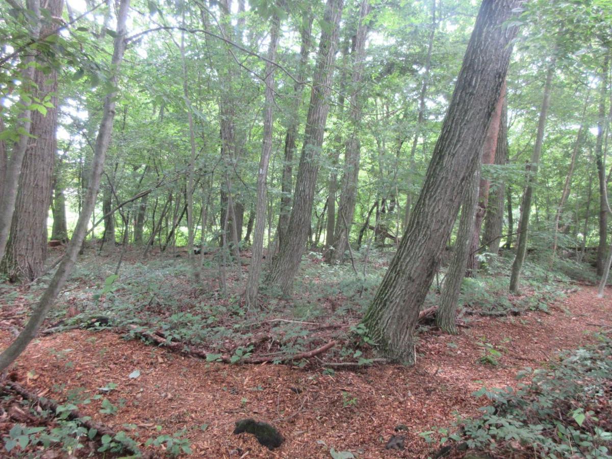 Dogruncafe & Resorts Jennie West-Karuizawa Miyota Bagian luar foto